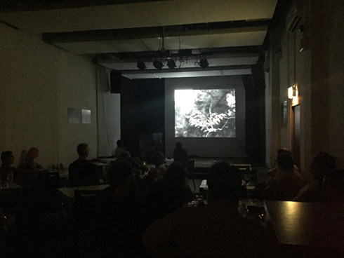 Film Night 25:8:16, Hackney Attic (August 2016)