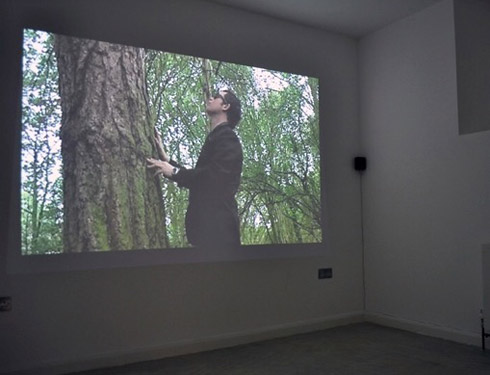 Heartland, Digital video, 4:49mins | Installation view—Heartlands, DownStairs Gallery, Great Brampton House, Herefordshire (2011)