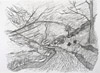 Cardingmill Valley, 2009