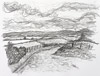 Lyth Hill III, 2009