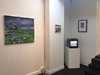 Installation view, Distant Fires, Studio 1.1, London  (May 2017)
