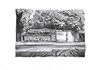 Downs Park Road (Full Sheet)  (2023)